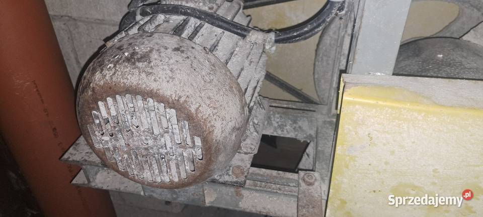 Śrutownik do zboża gryzoń Chwaścice