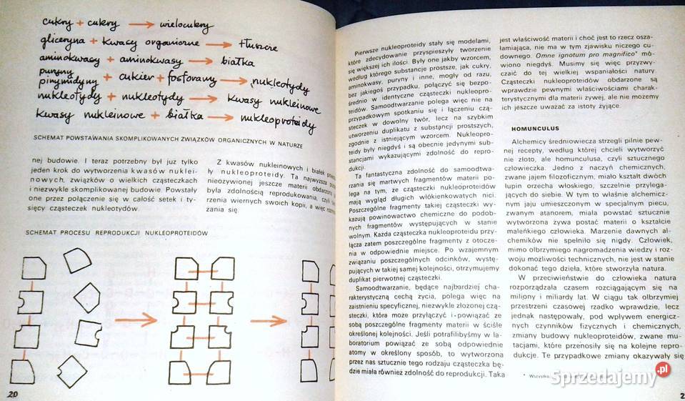 Człowiek i chemia Jerzy Stobiński miękka Chełm sprzedam