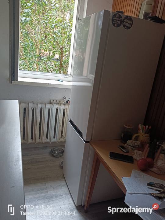 Lodówka AMICA wolnostojące Tarnów