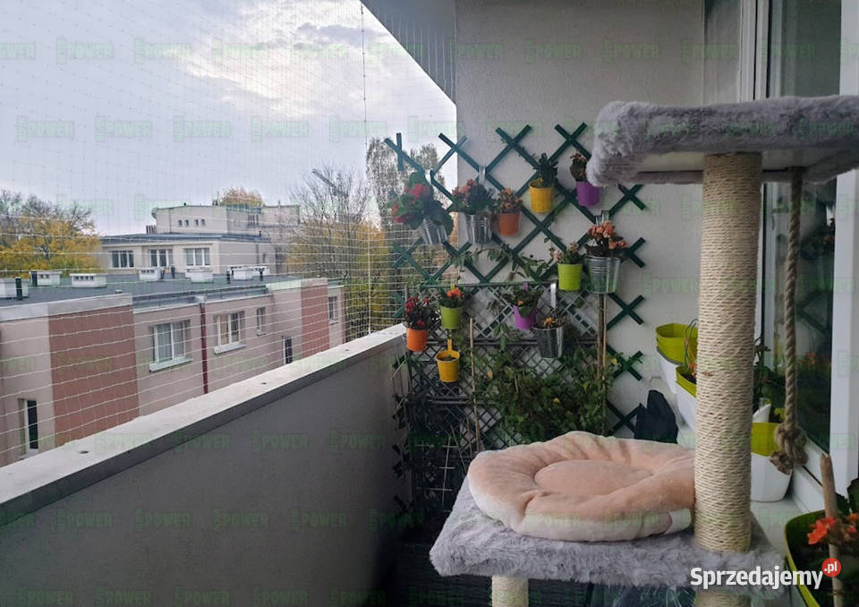 Siatka na balkon kota z montażem Warszawa Siatka