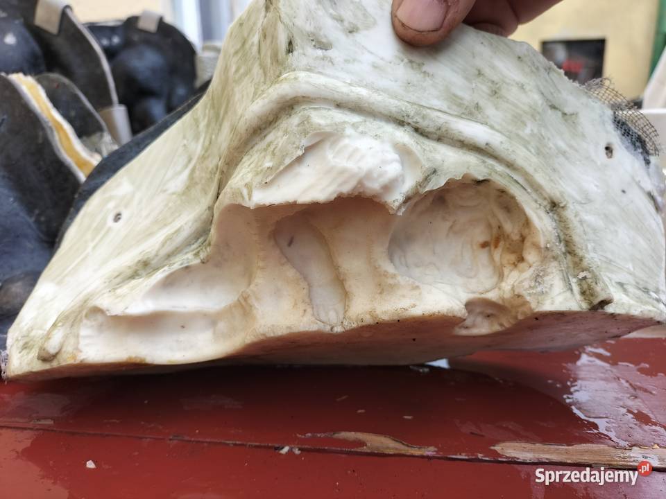 Formy do zniczy i aniołów Inowrocław sprzedam