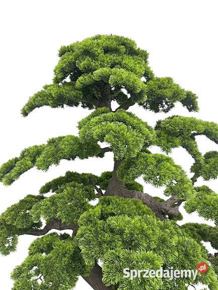 Sztuczne drzewko bonsai 200 żywe duże bonsai do Sztuczne kwiaty i owoce Golkowice