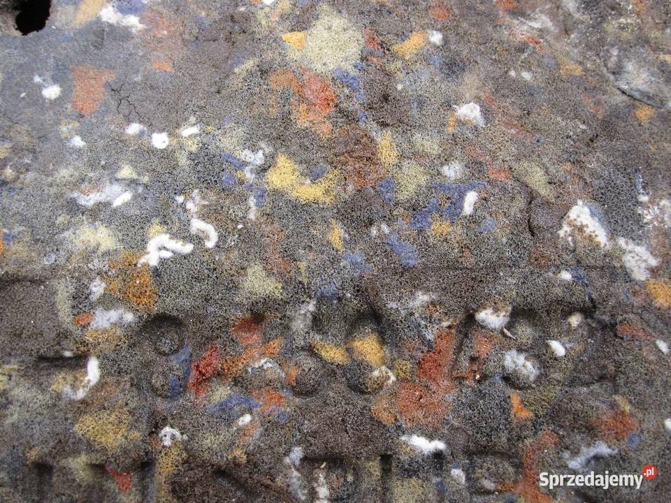 BMW E38 LIFT 01r wygłuszenie maski dolne 8160432 świętokrzyskie