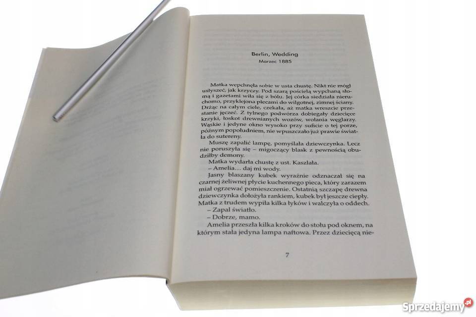 Hilliges Gwiazdy Afryką Bądkowo