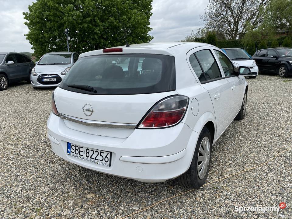 Opel Astra 2010 ASR (kontrola trakcji) Paniówki