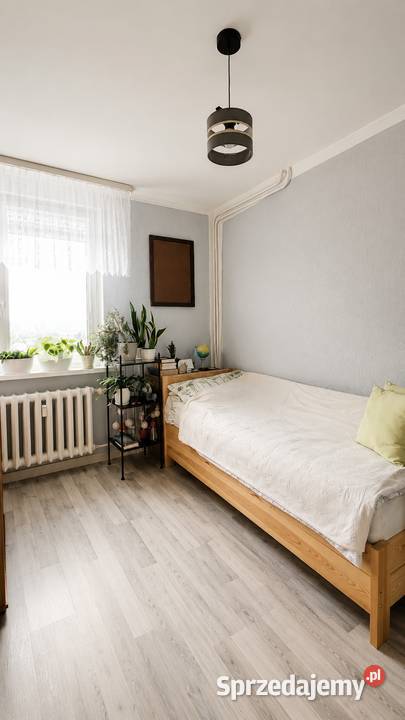 2 pokoje 4132 m Balkon 10 piętro Opole Koszyka