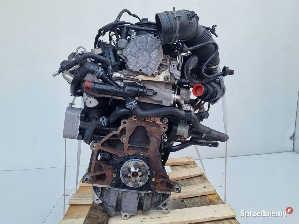 SILNIK KOMPLET VW Caddy III 16 TDI 75 Janów sprzedam