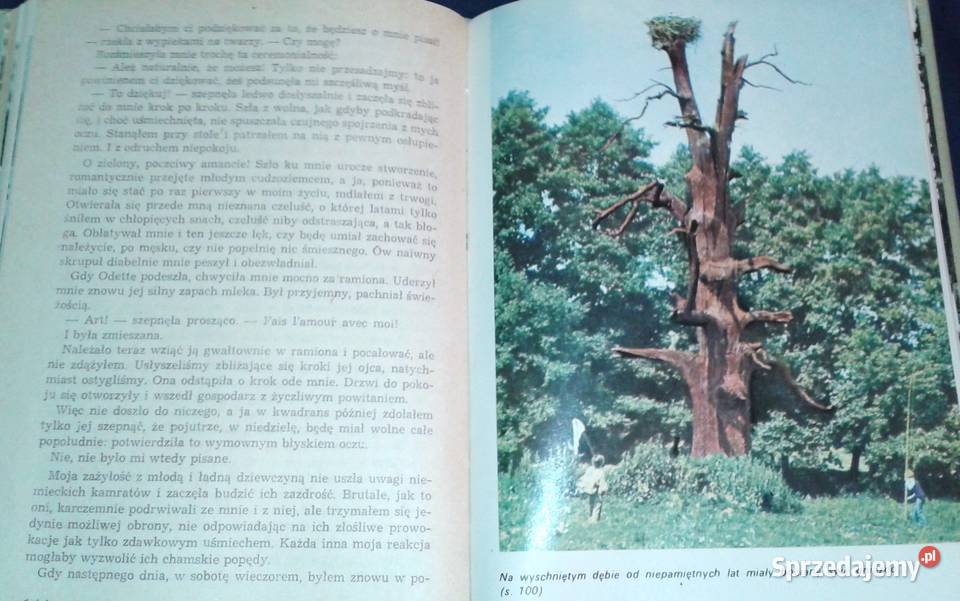 Mój ojciec i dęby Arkady Fiedler Rok wydania 1978
