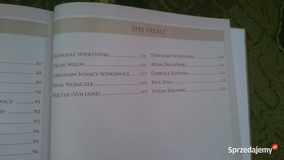 Książka Wielcy pisarze i poeci IBIS album nowa Poradniki, albumy i reportaże Wrocław sprzedam