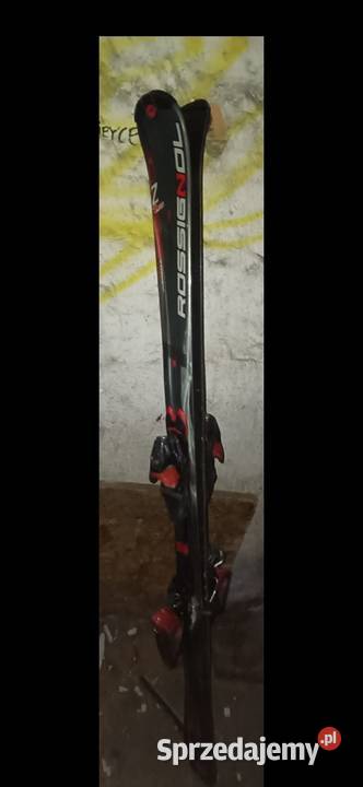 Sprzedam narty Elbląg