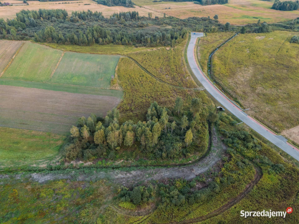 Działka przemysłowa 55 HA Podborze Mielec Strefa sprzedam