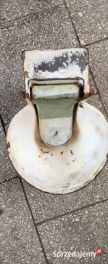 6 Żeliwnezabytkowe poidło zwierzątindustrial Barlinek