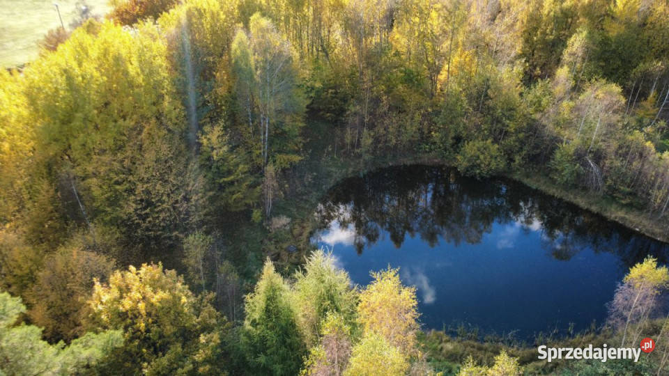 sprzedaży działki 3000m Gromadzin Sprzedaż