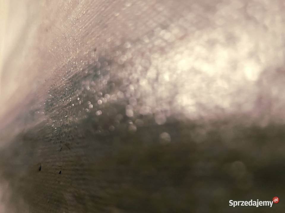 Łazienki królewskie obraz ręcznie malowany 5070 Malarstwo Lublin sprzedam