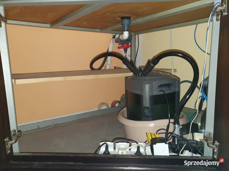 Terrarium akwarium z wyposażeniem Terrarystyka Józefin