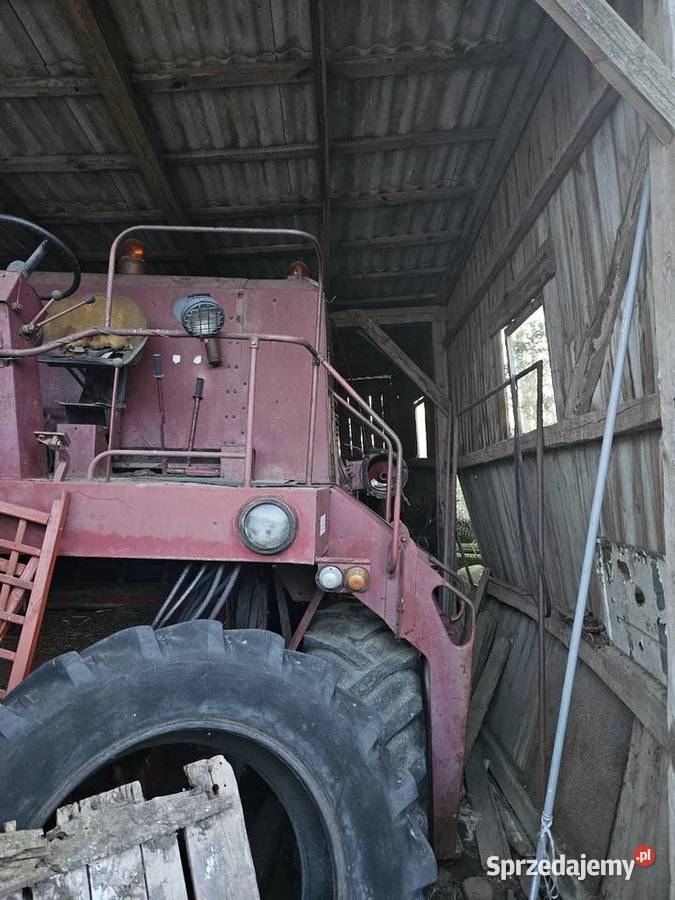 Sprzedam Bizona mazowieckie Szczytno