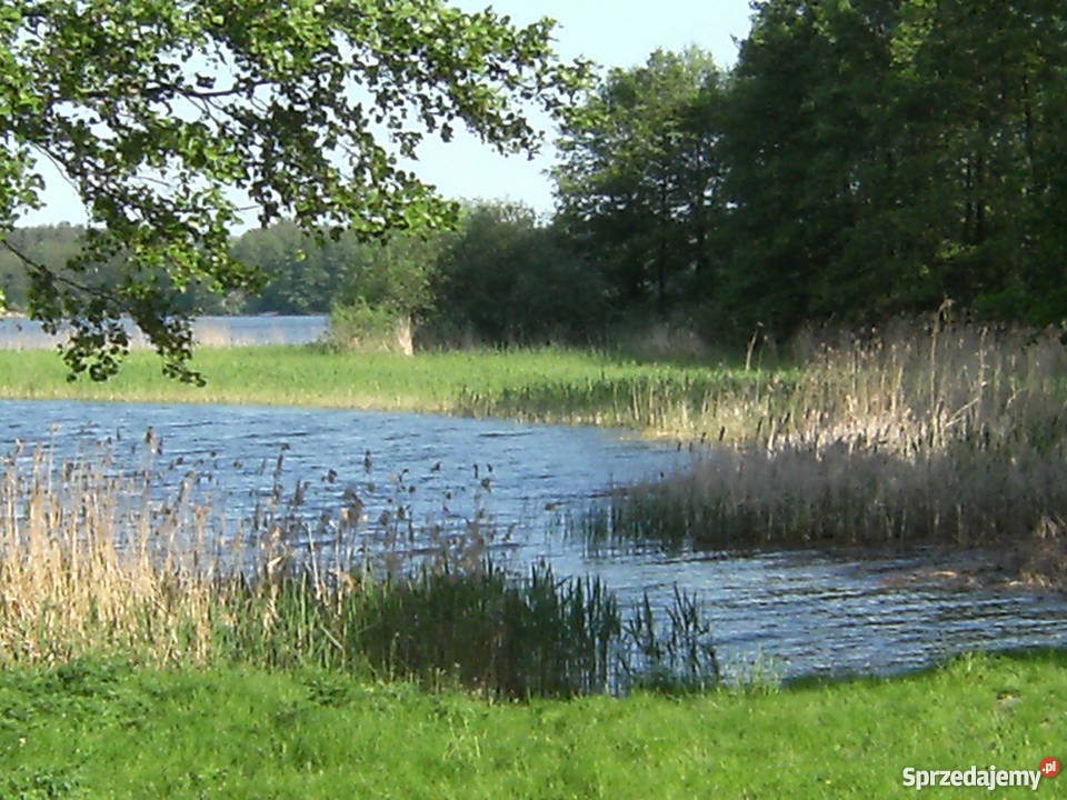 Sprzedam działkę rekreacyjną Wincentowo