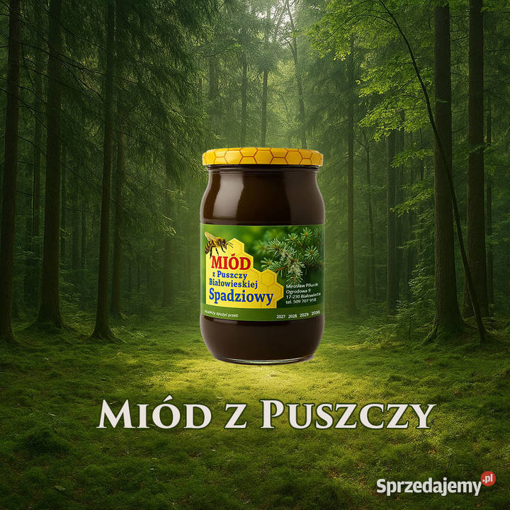 Miód spadziowy z Puszczy Białowieskiej naturalny Białowieża sprzedam