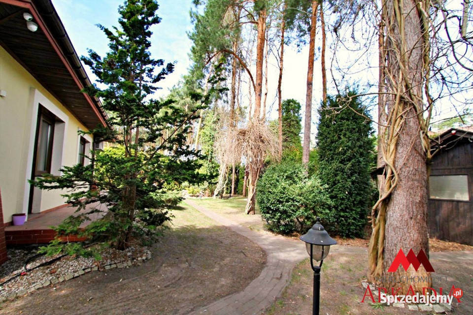 Dom Włocławek 17842m2