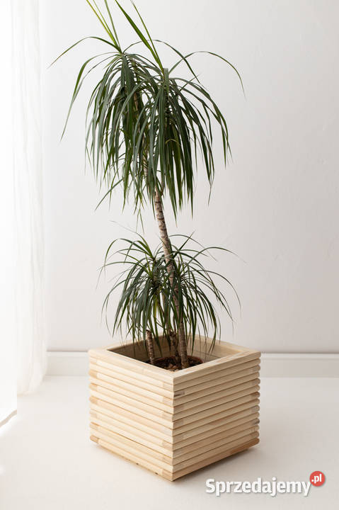 Donica osłona 3D drewniana sosnowa DUŻA profil Kalety sprzedam