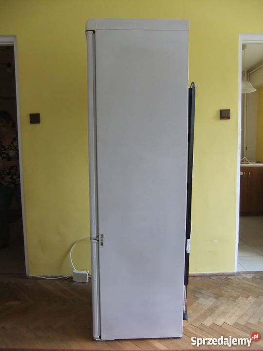 Lodówka Polar CZW 250 wolnostojąca wys 175 m Warszawa