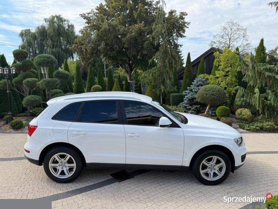 Audi Q5 20 TDI Quattro Stronic 170 2010r Możliwa nieuszkodzony Krotoszyn