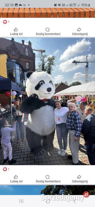 Tańczące Misie na urodziny Wesela 26M Biały miś Piasek