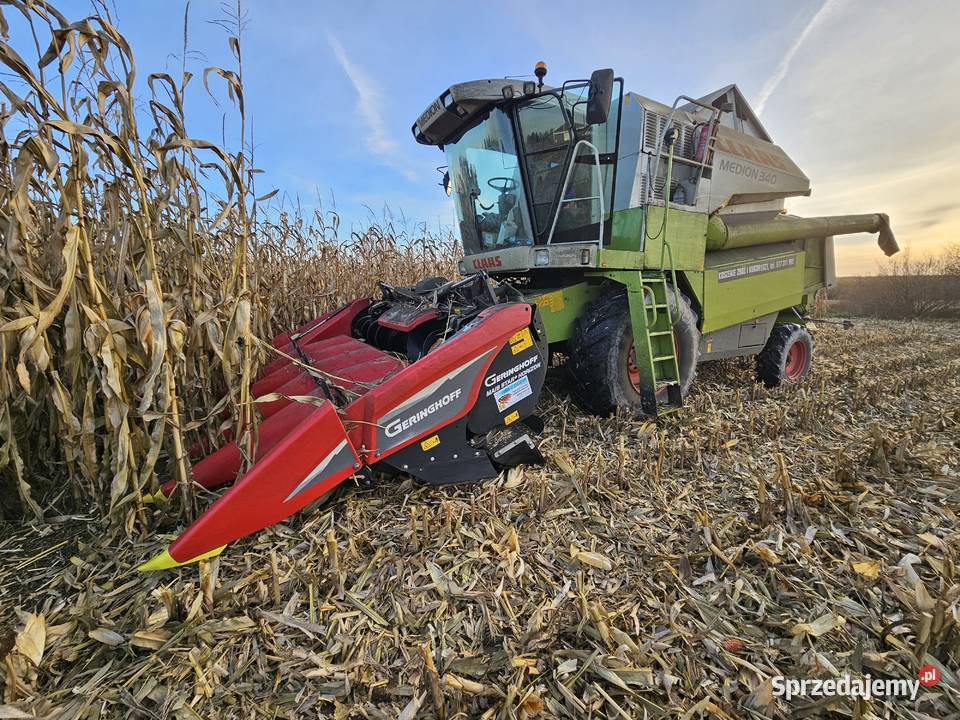 Usługi koszenia kukurydzy na ziarno agregat podlaskie Kłopoty-Stanisławy