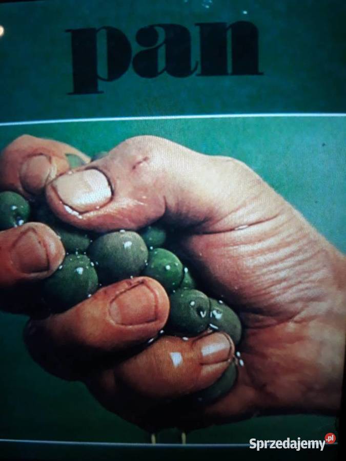 Archiwum duńskiego Prog Psych rocka PAN Pan 1971 Płyty i kasety