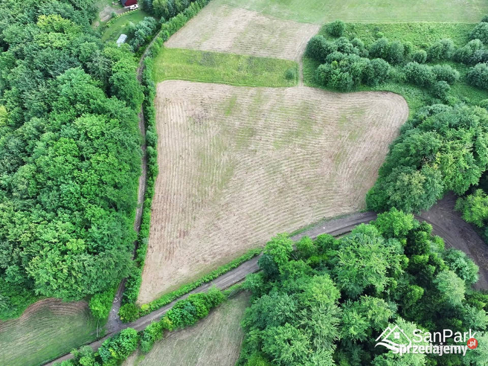 Grunt sprzedam Myczków 5600m2