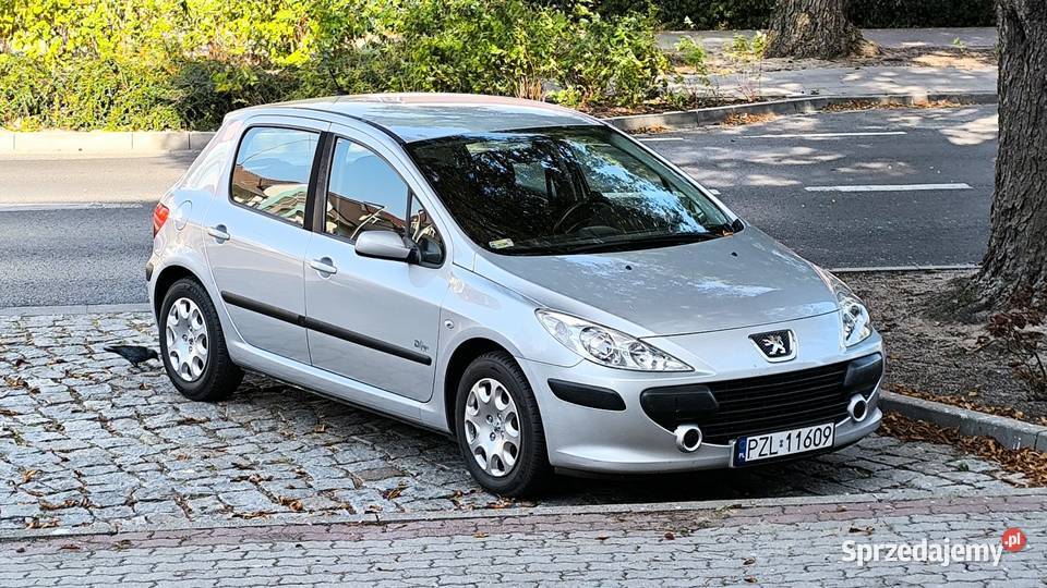 Peugeot 307 Lift Klima 16 2007 Benzyna 5 drzwi w wielkopolskie Złotów