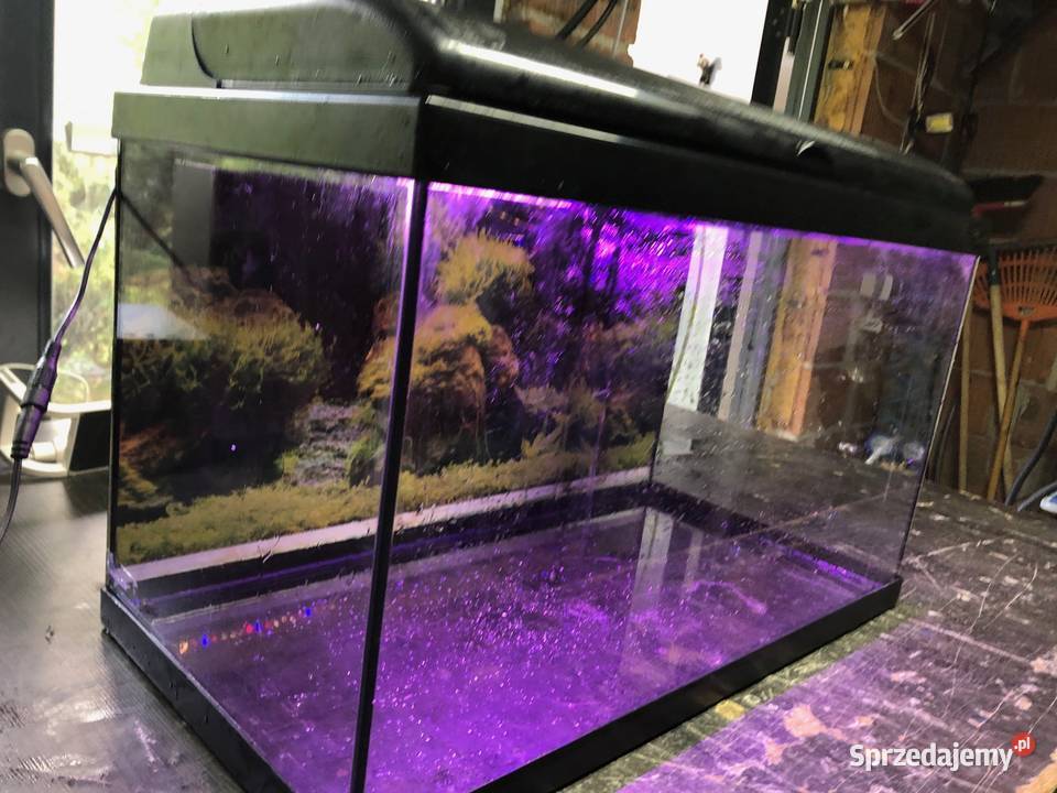 Akwarium 60x30x35 63 L pokrywa Akwarystyka Justynów sprzedam