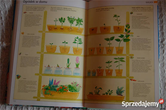 Pierwsza encyklopedia szkolna Marc Pellote Białystok