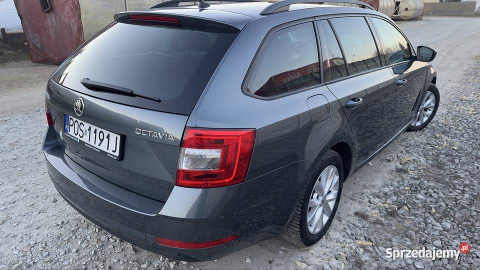 Octavia 2020 20TDI DSG 179000km Parczew