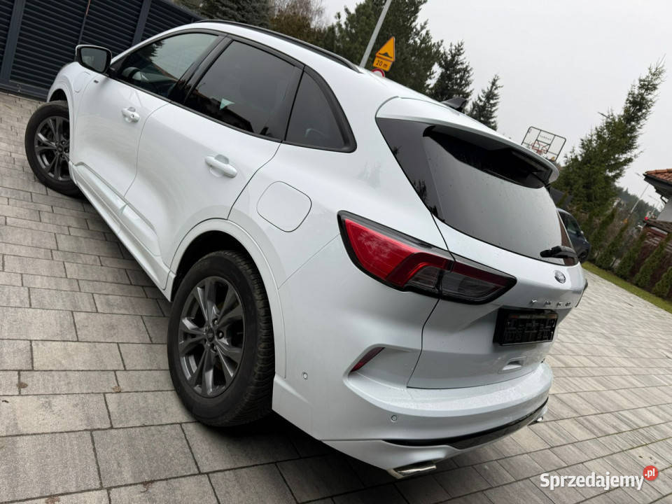Ford Kuga STLINE PlugIn 2021 Niski Przebieg 225 elektrochrom. lusterka boczne Przeźmierowo