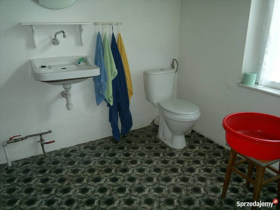 Stary ciekawy dom w Budziszewku duża działka wielkopolskie