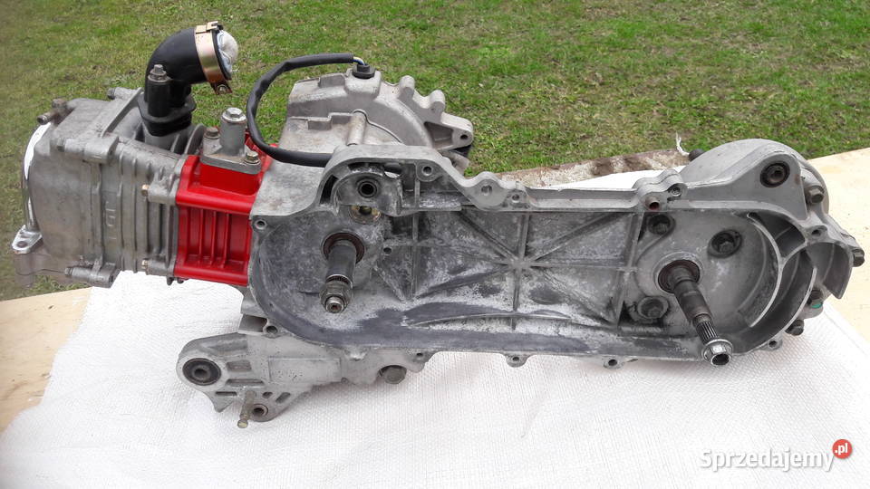 Silnik skuter Poster Sarzyna