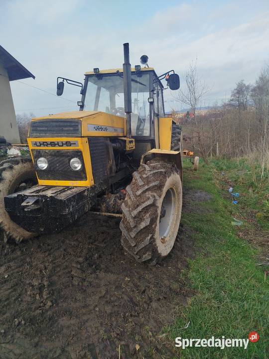 sprzedam ursus 1614 turbo Ryglice