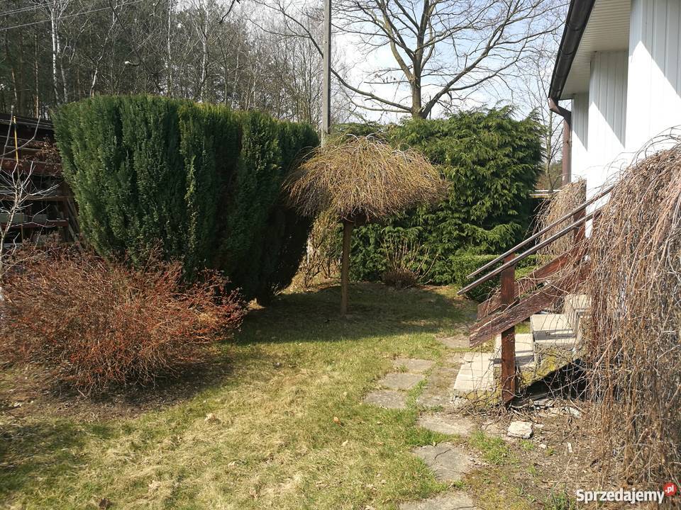 Działkę pracowniczą sprzedam Łódź