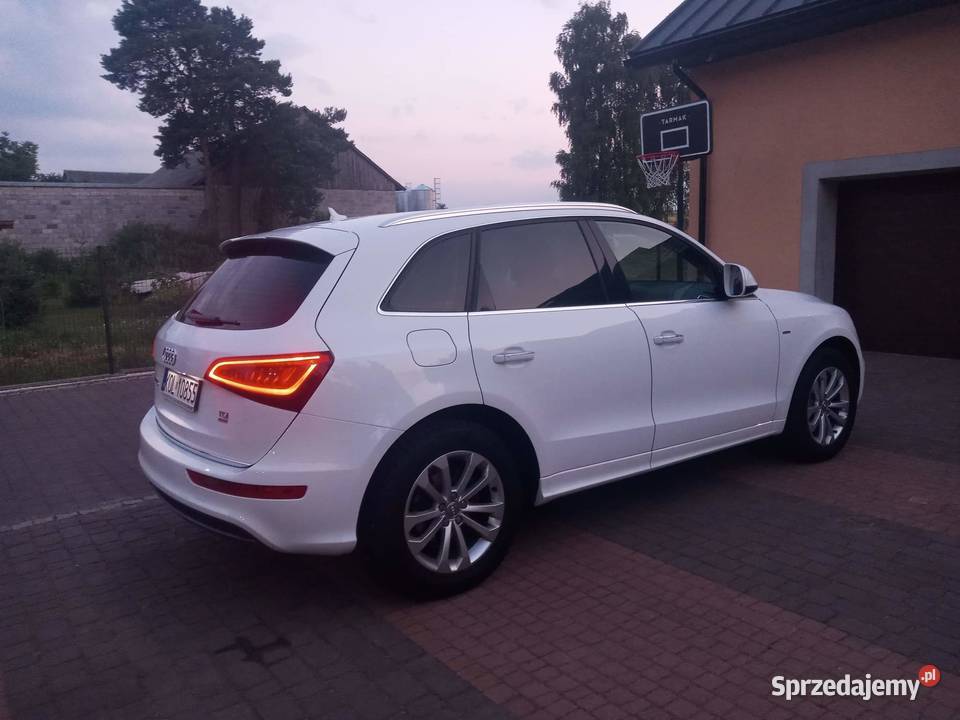 Audi Q5 1WłascicielSalon Polskabezwypadkowy Q5 Wolbrom