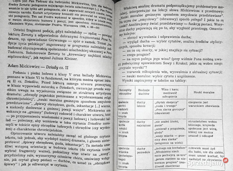 Kształcenie literackie w klasie 7 Przewodnik lubelskie sprzedam