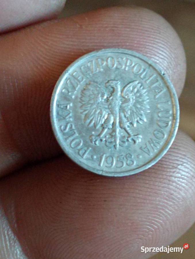 Sprzedam 5 groszy 1958 r bzm Chełm