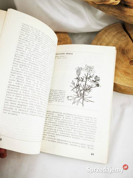 Zioła i przyprawy z własnego ogródka Wiśniowa