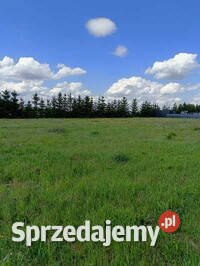 Działka inwestycyjna 2 500 m Spedycyjna Piotrków Trybunalski