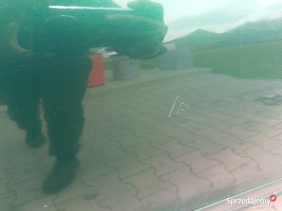 Drzwi Gołe Przód Lewy LZ6L Audi A4 B5 a45 Myszków sprzedam