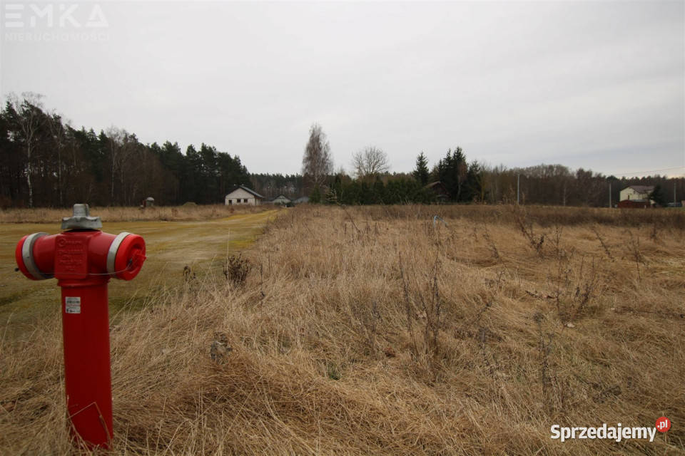 Ogłoszenie działka 1079 metrów Branica