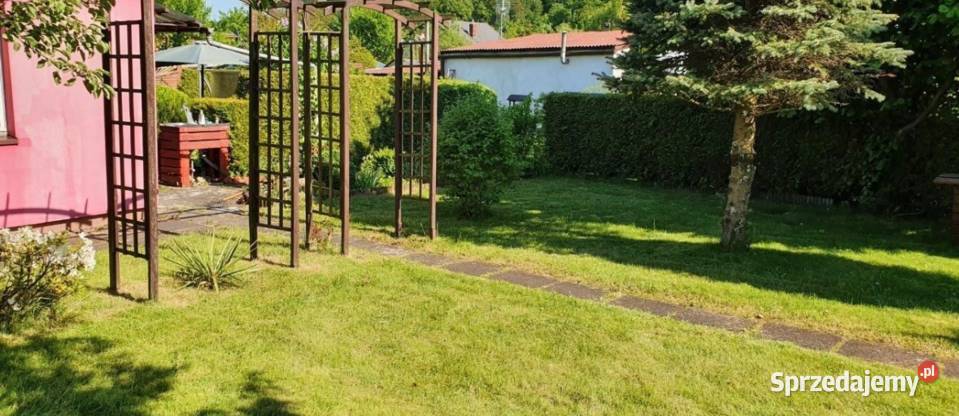 Działka ROD SUCHARSKIEGO Wejherowo 429m2 DOMEK Sprzedaż