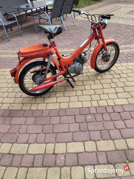 Pegaz Zarejestrowany mazowieckie Wyszków