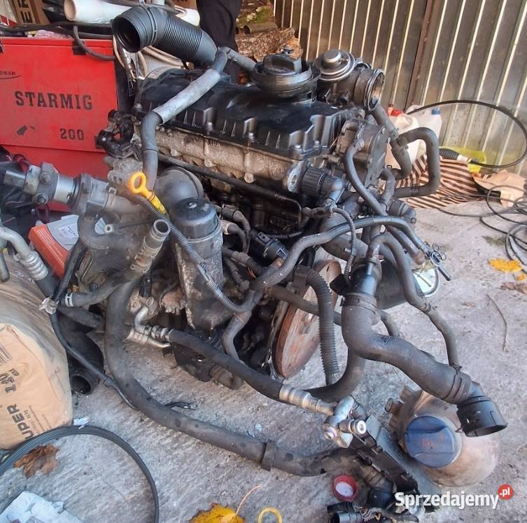 Silnik 19 Tdi Bvk vw Sharan 2009r osobowe Czarna Woda