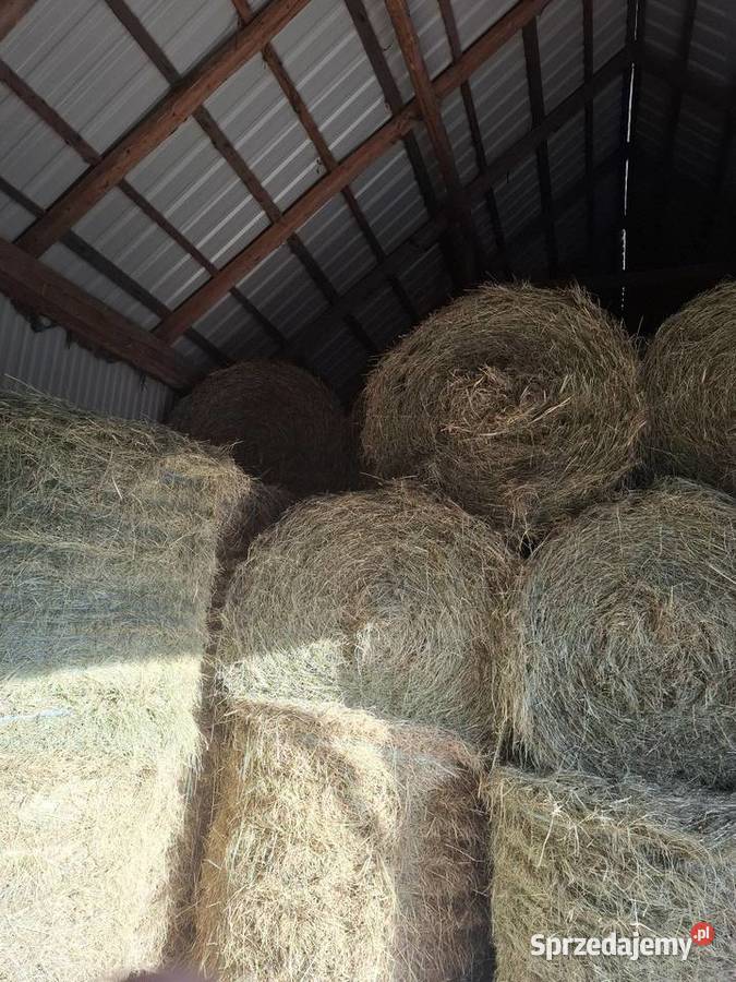 Siano Nowa Słupia sprzedam